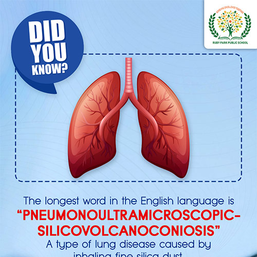 Did You Know?