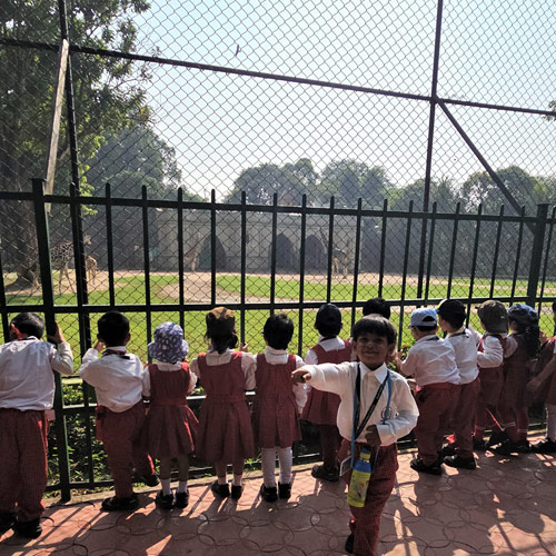 Traversing through the fauna! (Alipore Zoological Garden)